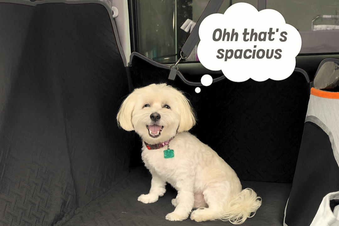 Dog Seat Cover for Back Seat, 100% Waterproof, Scratch Proof Anti-Slip Dog Car Hammock